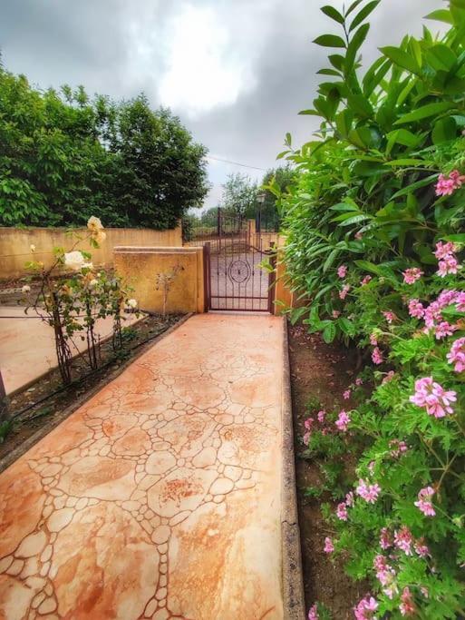 Villetta Di Anastasia 1 Tropea Filandari Luaran gambar